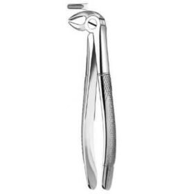 DAVIER ADULTE PREMOLAIRE INFERIEURE N 13