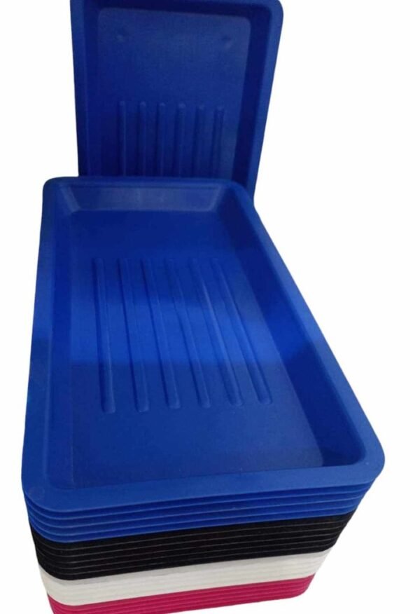 PLATEAU EN PLASTQUE AUTOCLAVABLE 10*20 CM