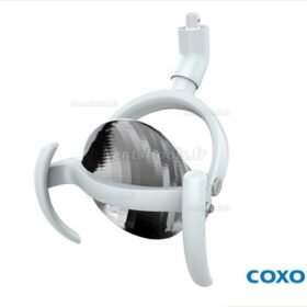 SCIALYTIQUE LED COXO
