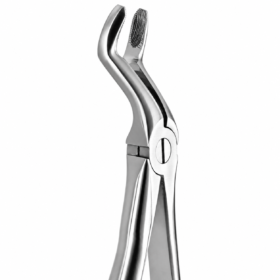 DAVIER ADULTE DENT DE SAGESSE SUPERIEURE N 67A
