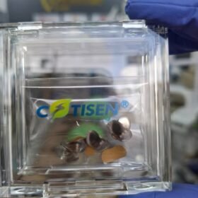 Matrice bands  - cotisen - 50 pcs