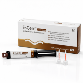 ESCEM DUAL-CURED A2 SPIDENT SERINGUE 10 G